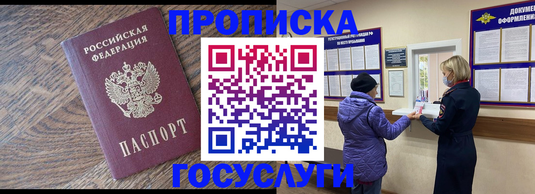 прописка законно в Щёлково